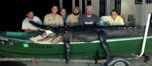 General Content Photos Photo